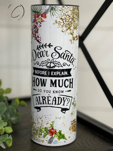 PREORDER: Dear Santa 20oz Skinny Tumbler