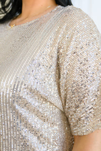 Alexandria Short Sleeve Sequin Dress In Taupe