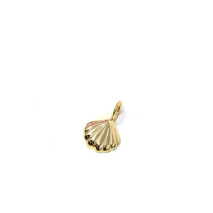 PREORDER: Shell Charm