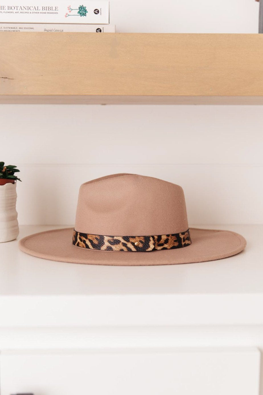 Stripe Of Sassy Hat in Khaki