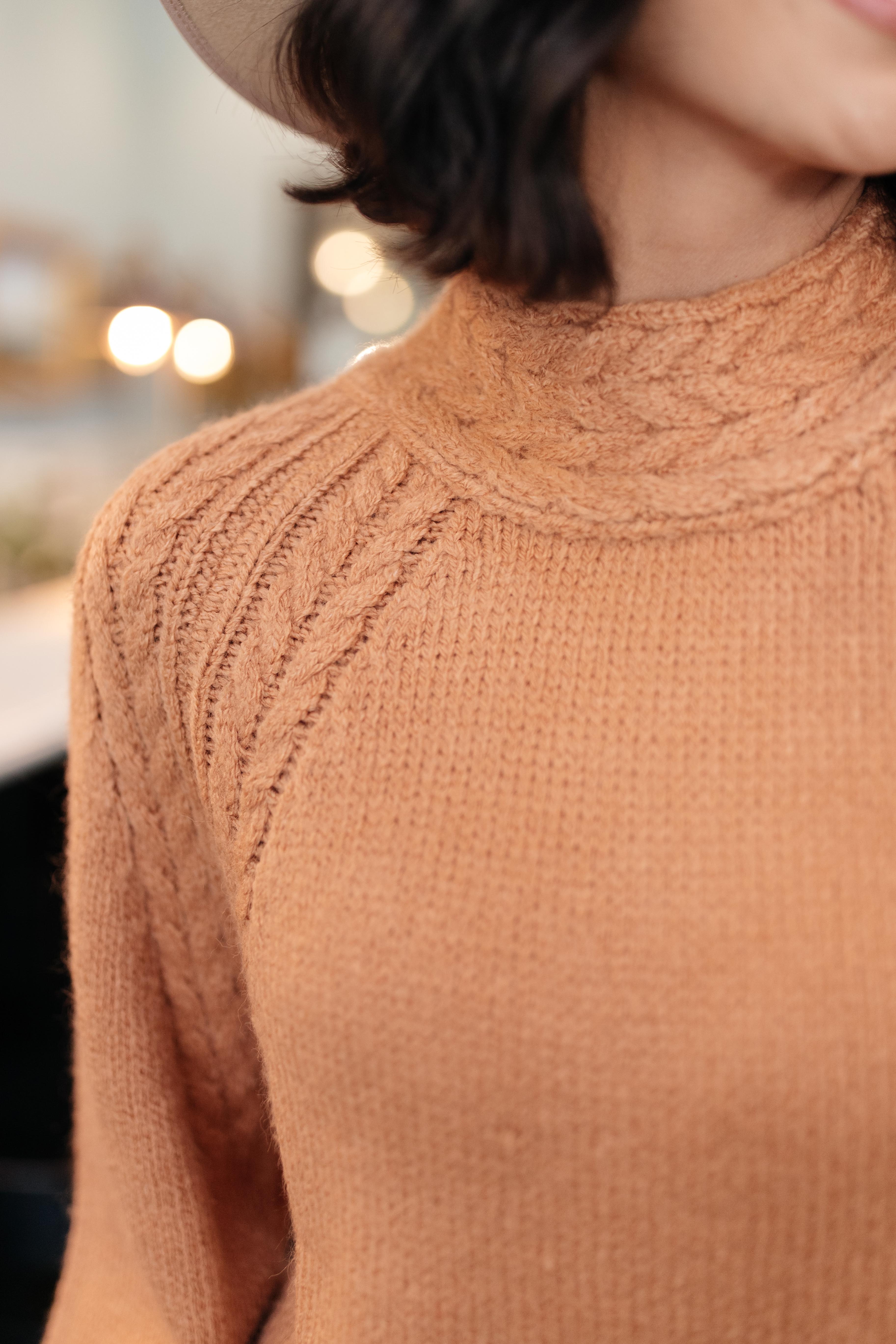 DOORBUSTER Your Favorite Knit Sweater in Carrot